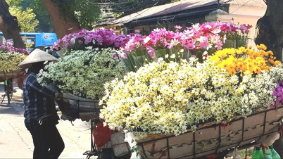 Hanoi me manque, les voitures de mariage me manquent.