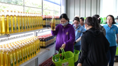 Ντονγκ Ταπ: Τα επιχειρηματικά συνδικάτα διαδίδουν βιετναμέζικα προϊόντα