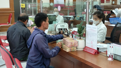 Gia Lai: Bank berkongsi dan mengiringi perniagaan selepas bencana alam