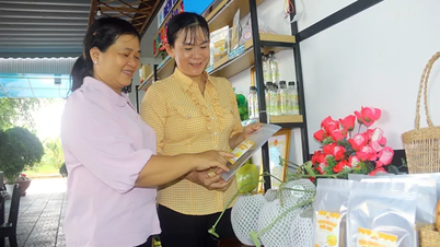 Превратите побочные продукты джекфрута в ценные товары