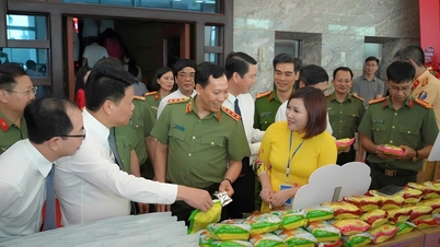 کسی که غذای ماهی سوف های فونگ را به همه جا برد