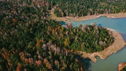 El bosque de Quang Tri tiene un paisaje hermoso como el de Europa, que atrae a los visitantes a registrarse.