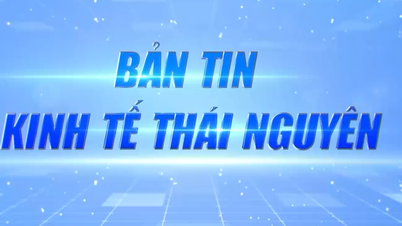 اکنامک نیوز ہفتہ 1 دسمبر: تھائی نگوین سرمایہ کاروں کے لیے تیزی سے پرکشش کیوں ہے؟