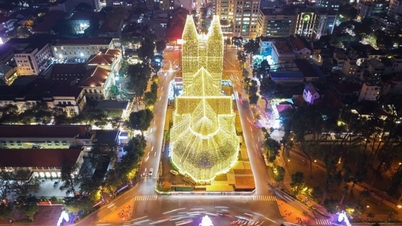 Catedral de Notre Dame: el momento de las luces navideñas