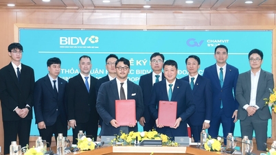 বিআইডিভি চামভিট গ্রুপের সাথে সহযোগিতা জোরদার করেছে