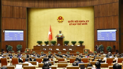 ৭ম কার্য সপ্তাহের সমাপ্তি: জাতীয় পরিষদ আইন প্রণয়ন ও তত্ত্বাবধানমূলক কাজের উপর মনোনিবেশ করে