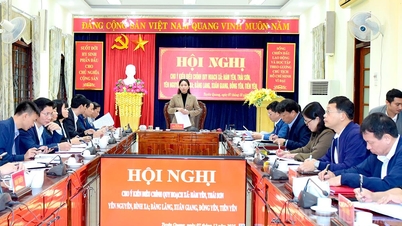 Ajustar o planejamento das comunas de Ham Yen, Thai Son, Yen Nguyen e Binh Xa para promover o potencial, criar espaço e impulsionar o desenvolvimento.