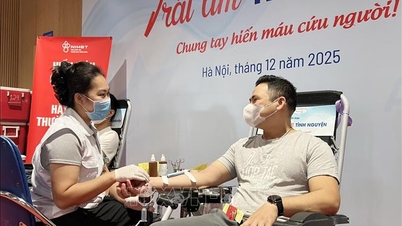 Festival de Doação de Sangue 'Coração Voluntário' 2025