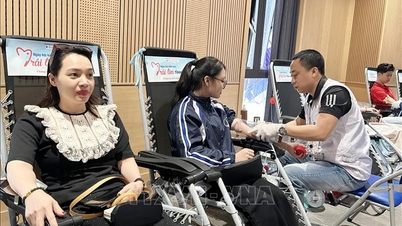 Establishing a stable blood supply from the community.
