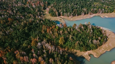 フォン・プン・メープル・フォレスト：クアンチのヨーロッパの秋