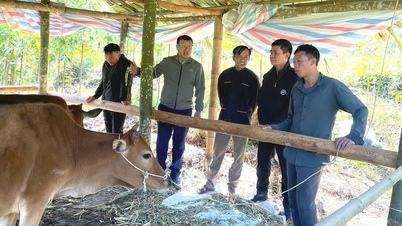 الهدف هو الحد من الفقر المستدام.