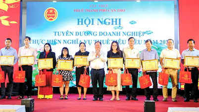 Podporovat dodržování daňových zákonů pro společný rozvoj města