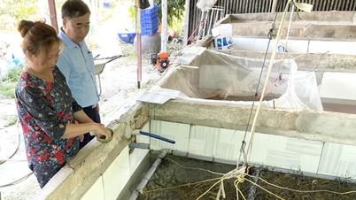 ​ເຮັດ​ໃຫ້​ຊີວິດ​ການ​ເປັນ​ຢູ່​ມີ​ຄວາມ​ຫຼາກ​ຫຼາຍ, ສ້າງ​ວຽກ​ເຮັດ​ງານ​ທຳ, ​ເພີ່ມ​ລາຍ​ຮັບ​ໃຫ້​ປະຊາຊົນ