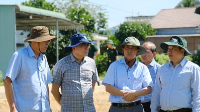 Секретарь партийной организации провинции Ламдонг И Тхань Ха Ни Кдам осмотрел реальный ущерб, причиненный наводнением.
