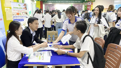 Posílení kariérního poradenství