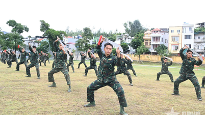 Para ser um atleta de elite, é preciso "praticar com diligência e com afinco".