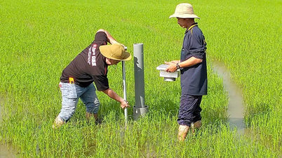Solusi aplikasi berteknologi tinggi untuk produksi pertanian untuk beradaptasi dengan perubahan iklim