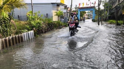 Vinh Long: Hochwasser verursacht Überschwemmungen, die das Leben der Menschen und die Produktion beeinträchtigen.