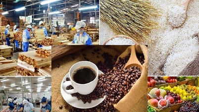 Exportações agrícolas disparam no final do ano: Vietnã ultrapassa a marca de 64 bilhões de dólares.