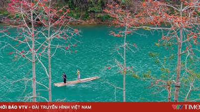 Tuyen Quang byl na World Travel Awards oceněn jako „Přední regionální kulturní destinace světa 2025“.