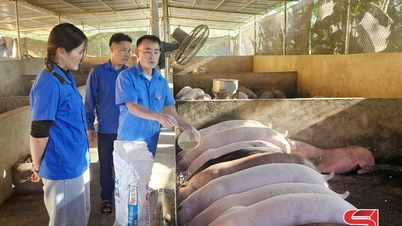 Die Jugendlichen der Gemeinde Bac Yen schließen sich zusammen, um eine neue Landschaft zu errichten.