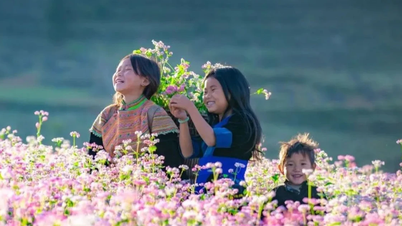 Utsikter för turismutveckling från boveteblommor i Phong Du Thuong