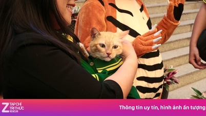 Der Zoo organisiert ein Fantreffen mit Katzen-"Präsident" Mika und Tieren.