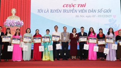 'আমি একজন ভালো জনসংখ্যা প্রচারক' প্রতিযোগিতায় দা নাং দেশব্যাপী দ্বিতীয় পুরস্কার জিতেছে।