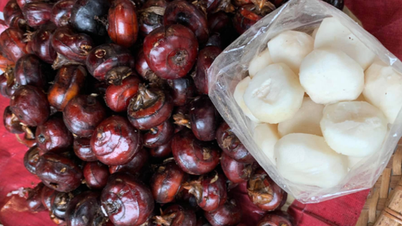 Jaký je účinek vodního kaštanu?