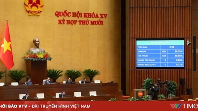 Majelis Nasional akan memasuki minggu kerja terakhir dari Sidang ke-10.