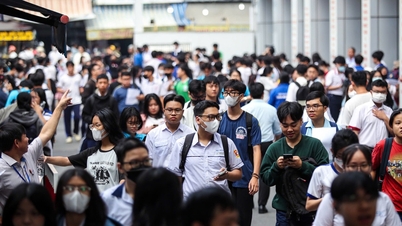 Characteristics of the Ho Chi Minh City National University's capacity assessment test