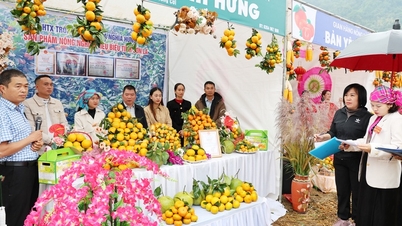 Wettbewerb zur Dekoration und Präsentation von Zitrusfruchtprodukten in der Gemeinde Muong Coi im Jahr 2025