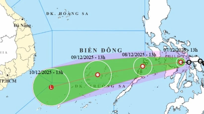 تغییر جهت طوفان گرمسیری، تحولات غیرمنتظره هنگام ورود به دریای شرق