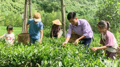 Thai Nguyen: Das Potenzial für die Entwicklung des Gemeinschaftstourismus ausschöpfen