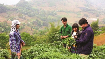 医薬品資源の保全に向けた取り組み