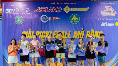 ការប្រកួត Pickleball បើកដើម្បីបញ្ឆេះចំណង់ចំណូលចិត្តកីឡានៅ An Giang