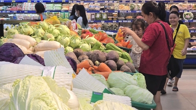 ราคาน้ำมัน ผักและผลไม้เพิ่มขึ้น ส่งผลให้ดัชนีราคาผู้บริโภค (CPI) เดือนพฤศจิกายน 2568 เพิ่มขึ้น 0.77%