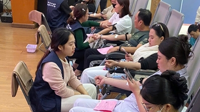 'शेयरिंग ब्लड ड्रॉप्स' कार्यक्रम में 281 यूनिट रक्त प्राप्त हुआ।