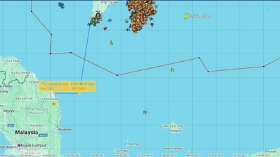 मलेशियाई जलक्षेत्र में संकटग्रस्त वियतनामी नाविकों को समय पर बचाया गया