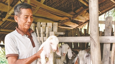 ចំណុចភ្លឺក្នុងការអនុវត្តគោលនយោបាយជនជាតិនៅខេត្តអានយ៉ាង