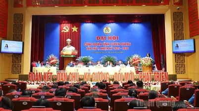 Pierwsza sesja robocza pierwszego Kongresu Związku Zawodowego Prowincji Tuyen Quang, kadencja 2025-2030