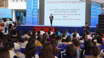 Hai Phong کارکنوں کو سماجی انشورنس پالیسیوں کا پرچار کرنا