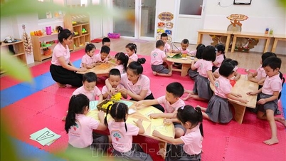 Orașul Ho Și Min: Prioritizarea utilizării sediilor agenției excedentare după reorganizare pentru educația preșcolară