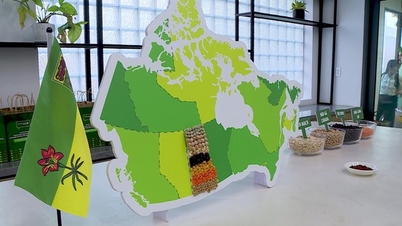 کینیڈا نے ویتنام کے ساتھ پائیدار زرعی تعاون کو فروغ دیتے ہوئے سسکیچیوان کی زرعی مصنوعات متعارف کرائیں