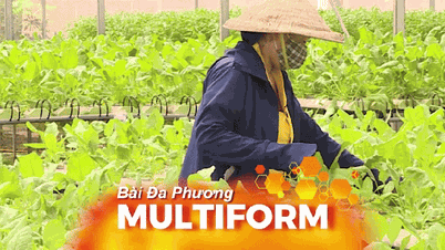 ہو چی منہ شہر کے "سبز پھیپھڑوں" بننے کے لیے شہری زراعت کے لیے پیش رفت کے طریقہ کار کی ضرورت ہے۔