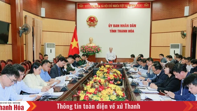 Vice Chairman of the Provincial People's Committee Cao Van Cuong listened to reports on a number of projects.