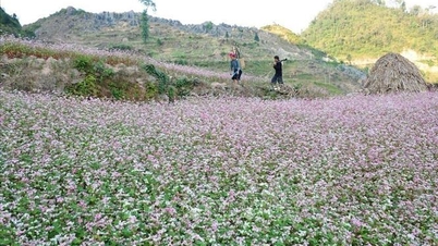 Vietnamul continuă să fie onorat ca „Destinație de patrimoniu principală din lume”