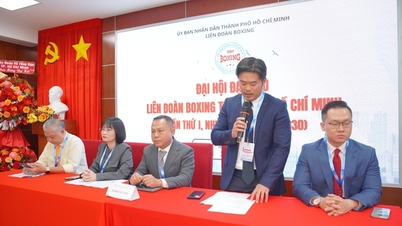 Ho Chi Minh City Boxing Federation determined to innovate for development