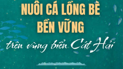 Bærekraftig oppdrett av fiskebur i Cat Hai-området