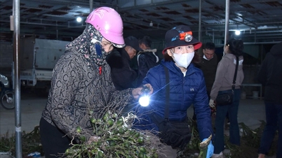 ເອົາໄຟສາຍໄປຕະຫຼາດອາຄາໃນຫວອດ Le Ich Moc